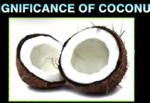 Significance of Coconut